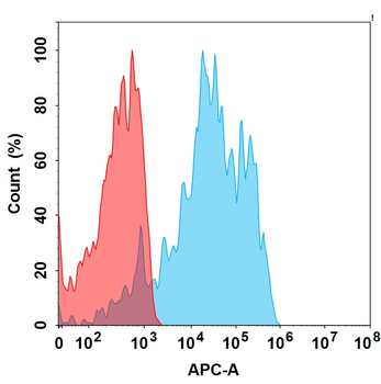 AXL Biosimilar Antibody