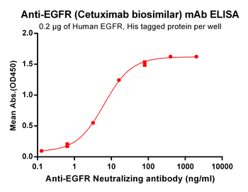 EGFR Biosimilar Antibody