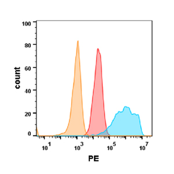 EGFR Biosimilar Antibody