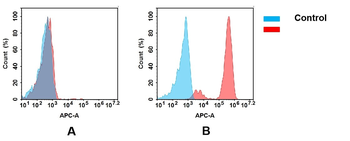 EGFR Biosimilar Antibody