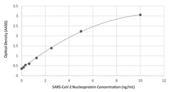 SARS-CoV-2 Nucleoprotein Antibody