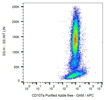 LAMP1/CD107a Antibody