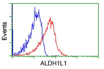 ALDH1L1 Antibody