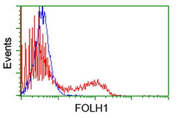 FOLH1/PSMA Antibody