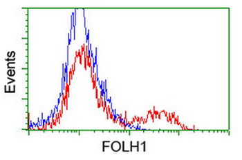 FOLH1/PSMA Antibody