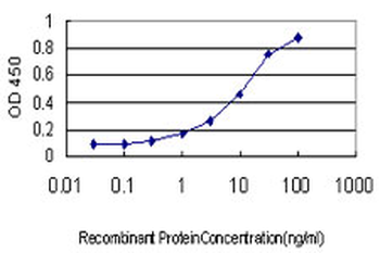 Endothelin 3/EDN3 Antibody