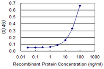 IFNAR1/IFNAR Antibody