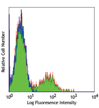 NCAM/CD56 Antibody