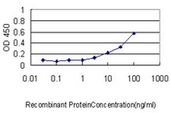 JUP/CTNNG/Junction Plakoglobin Antibody