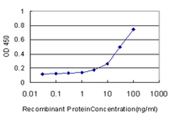CD177 Antibody
