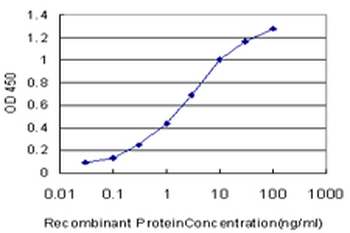 Mannose Receptor/CD206 Antibody
