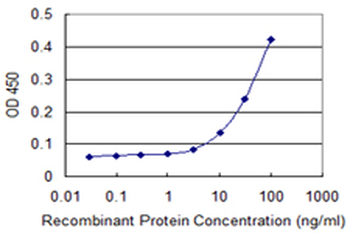 NPRB/NPR2 Antibody