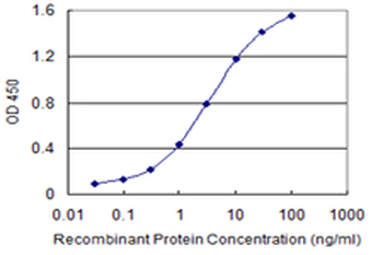 ABCC4/MRP4 Antibody