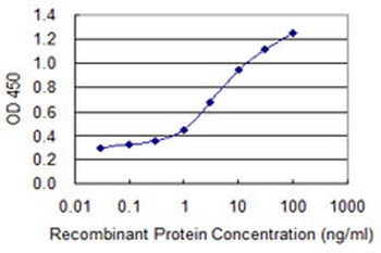 COL1A1/Collagen I Alpha 1 Antibody