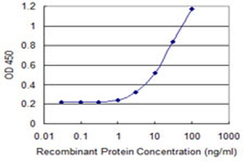ALDH1A1/ALDH1 Antibody