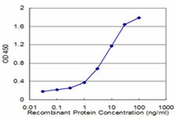 FADS1 Antibody