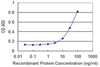 Peripherin Antibody