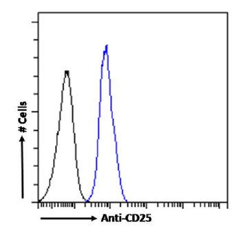 Anti-CD25 [2E4]