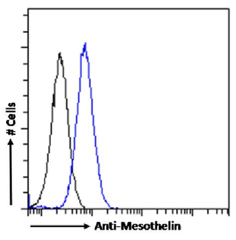 Anti-Mesothelin [IC14-30]