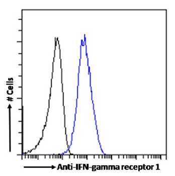 Anti-IFN-gamma receptor 1 [GR20]