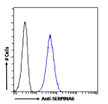 Anti-SERPINA6 [SAIC-42B-10]