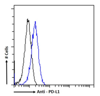 Anti-PD-L1 [332M7]