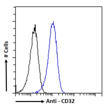 Anti-CD32 [IV.3]
