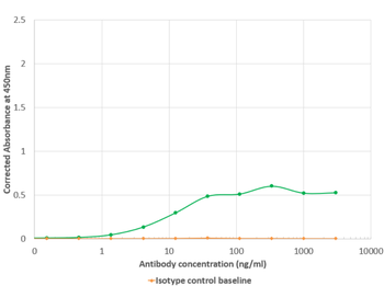 Anti-HCMV gH [HCMV16]