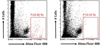 Anti-IL-17 [IL-17M70]