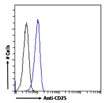 Anti-CD25 [7G7/B6]