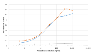 Anti-Mouse antibody kappa light chain [OX-20]
