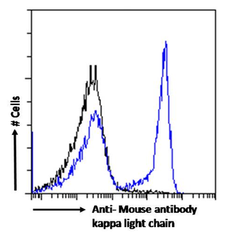 Anti-Mouse antibody kappa light chain [OX-20]