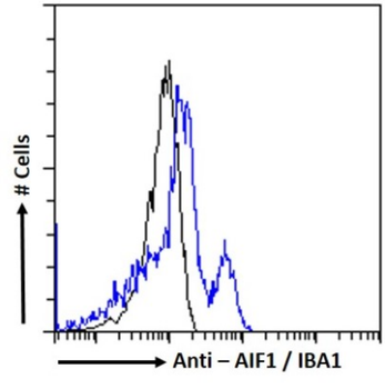 Anti-AIF1 [GT1-mAb2]
