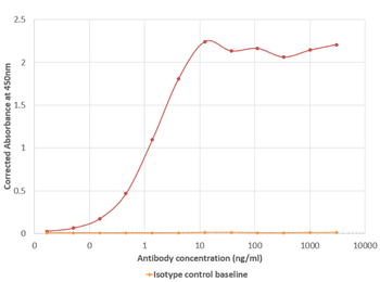 Anti-Norovirus GII.4 P domain [A1431]