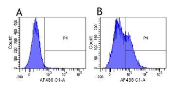 Anti-IL-2R [Daclizumab]