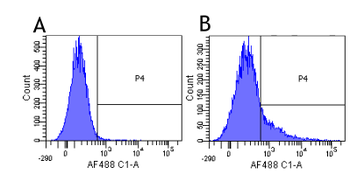 Anti-CD40L [hu5c8 (Ruplizumab)]