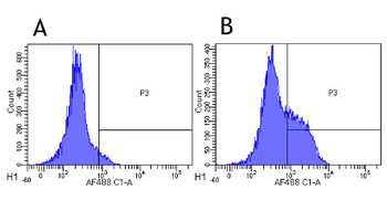Anti-CD52 [Alemtuzumab (Campath-1H)]