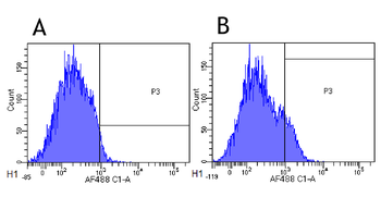Anti-IL-2R alpha (CD25) [Basiliximab]