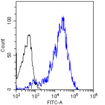 Anti-CD3 epsilon [YTH 12.5]