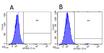 Anti-CCR3 (CD193) [5E8-G9-B4]