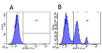 Anti-CD33 [hP67.6 (Gemtuzumab)]