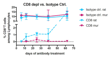 Anti-CD8 alpha/Lyt-2 [YTS 169.4]
