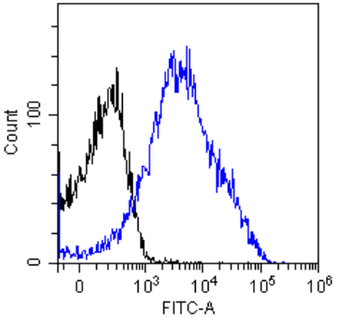 Anti-CD8 alpha/Lyt-2 [YTS 169.4]