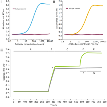 Anti-PDL1 [YDC 127.1.1]