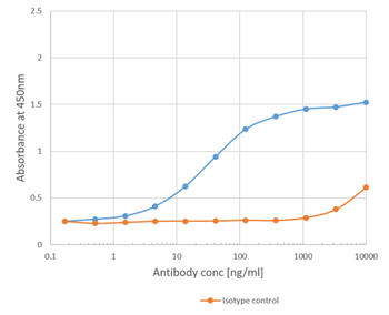 Anti-Phl p 1 [Clone 25]