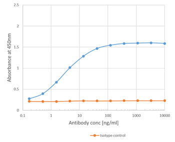 Anti-Phl p 1 [Clone 25]