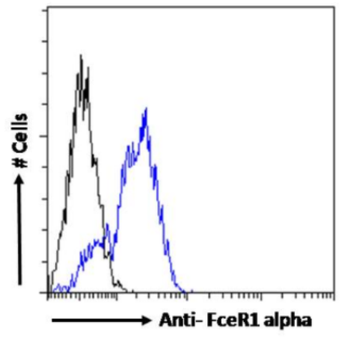 Anti-FceR1 alpha [Mar-1]