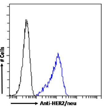 Anti-HER2/neu [SER4]