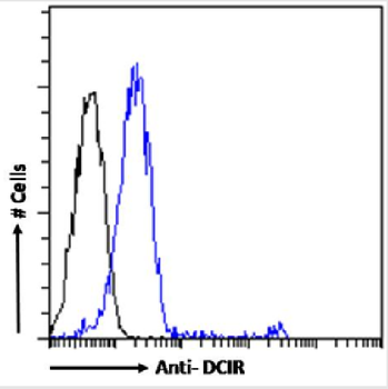Anti-DCIR [9E8]