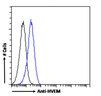 Anti-HVEM [HMHV-1B18]